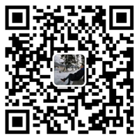 乐动网页版